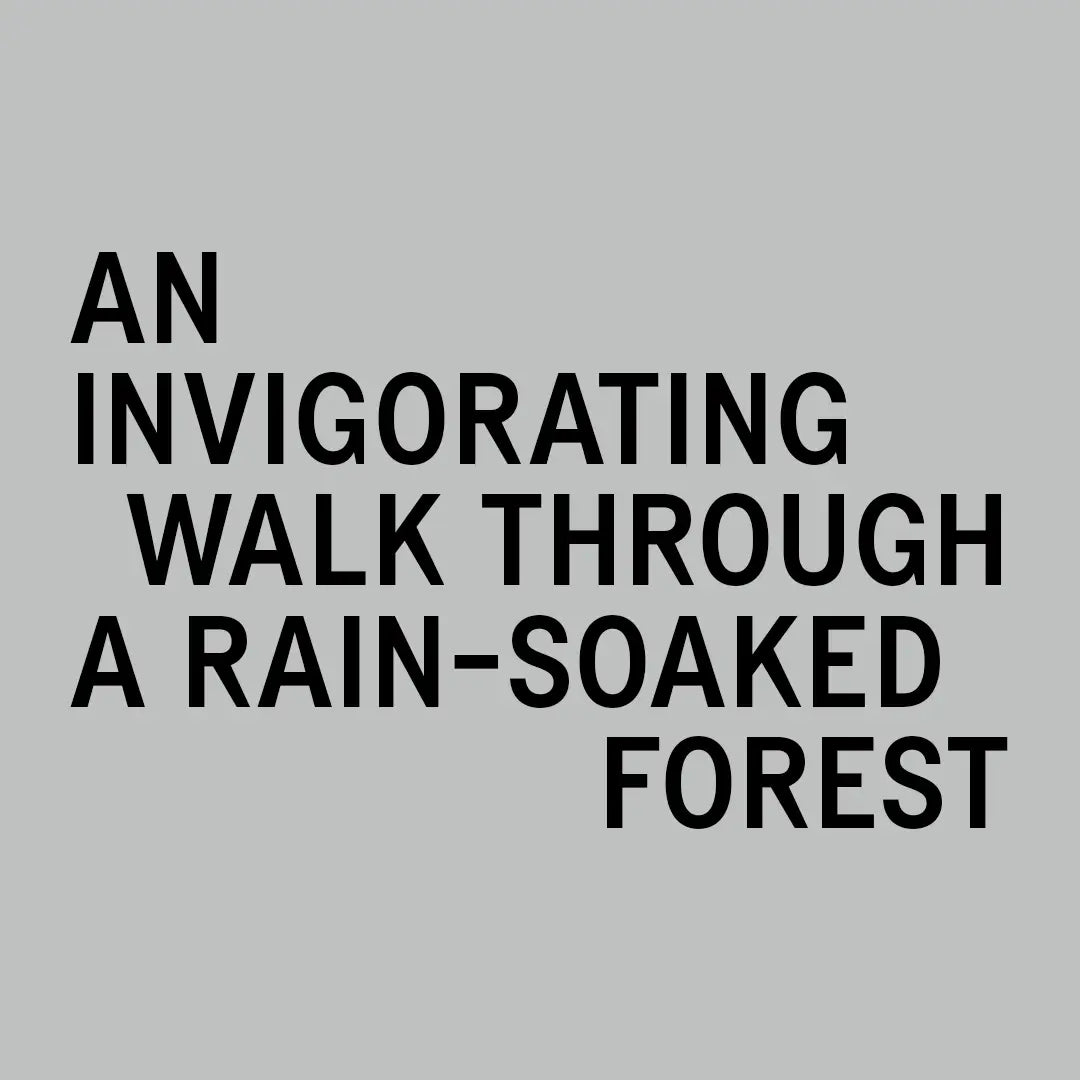 The Ensemble SC.02 After Thunder